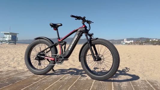 Electric Bike Rentals