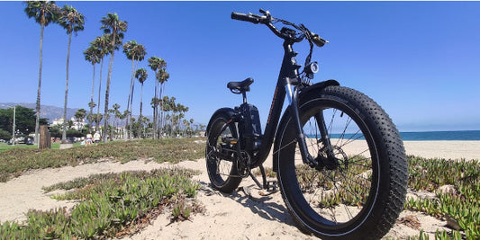 Electric Bike Rentals
